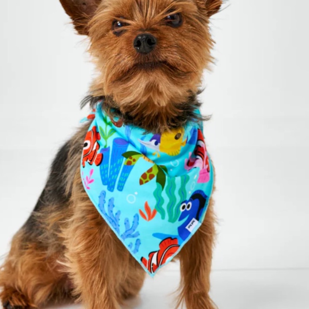 Disney Nemo's Reef Pet Bandana